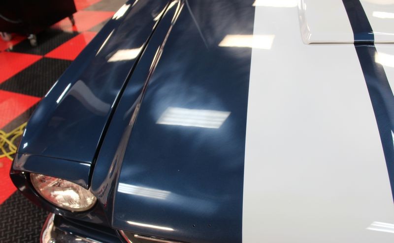 1965 Mustang Fastback detailed at Autogeek Mike Phillips