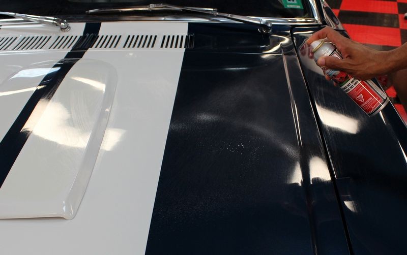 1965 Mustang Fastback detailed at Autogeek Mike Phillips