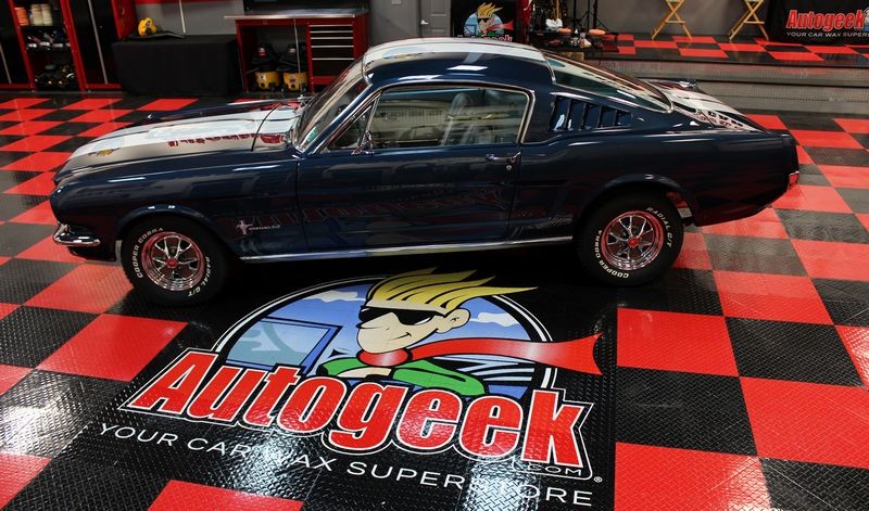 1965 Mustang Fastback detailed at Autogeek Mike Phillips