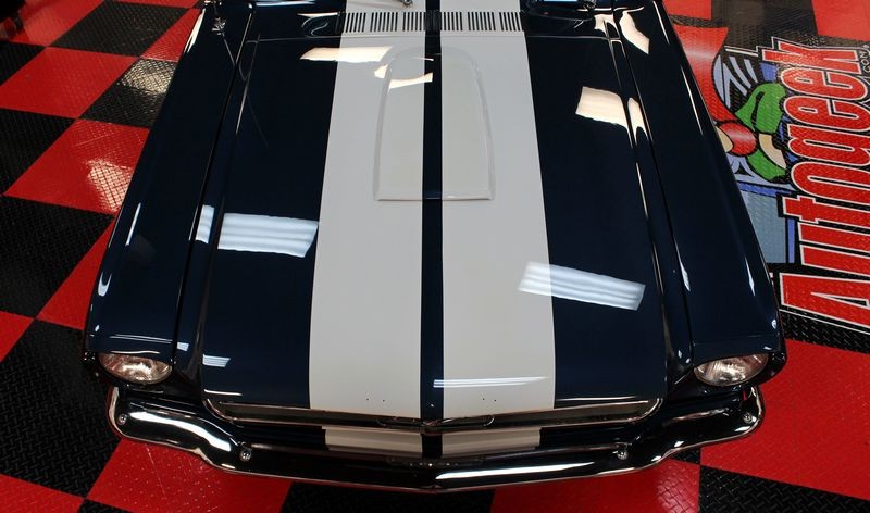1965 Mustang Fastback detailed at Autogeek Mike Phillips