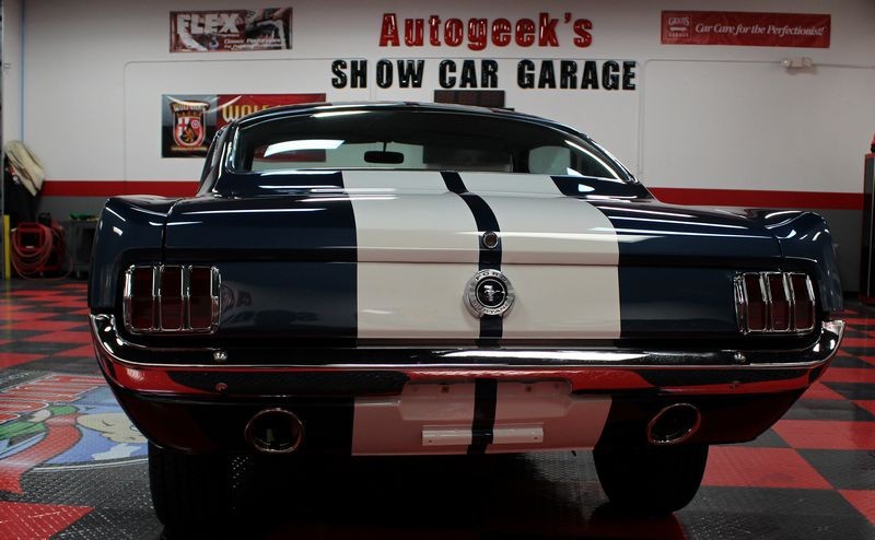 1965 Mustang Fastback detailed at Autogeek Mike Phillips