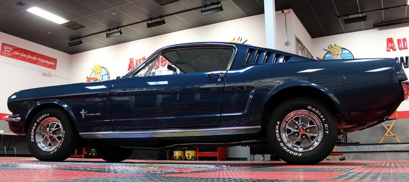 1965 Mustang Fastback detailed at Autogeek Mike Phillips
