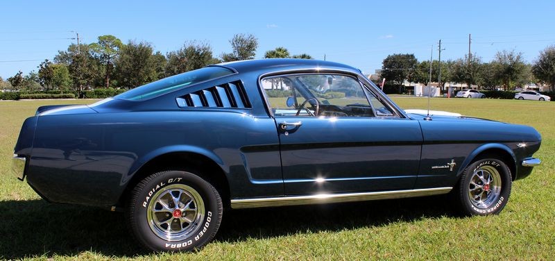 1965 Mustang Fastback detailed at Autogeek Mike Phillips