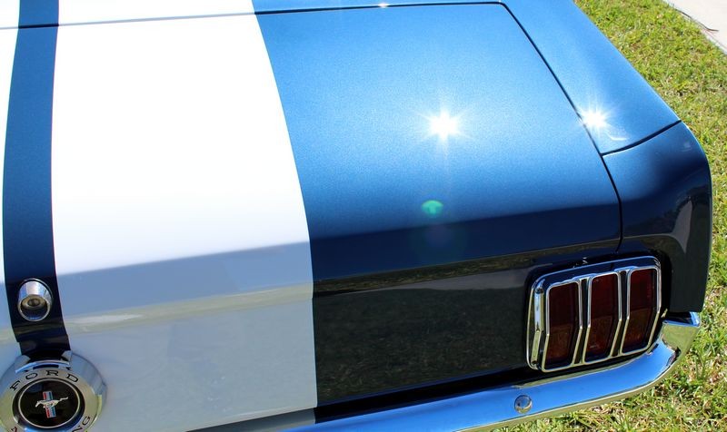 1965 Mustang Fastback detailed at Autogeek Mike Phillips