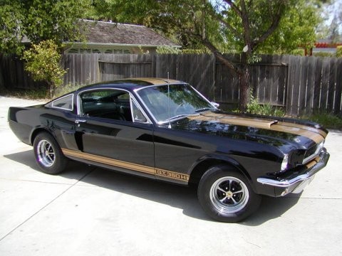 1966 GT350