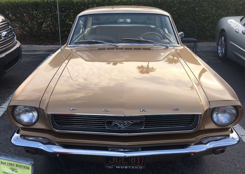 1966 Mustang Detailing Class with Mike PHillips
