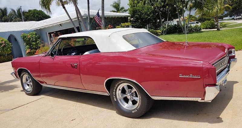 1966_Chevelle_Convertible_004