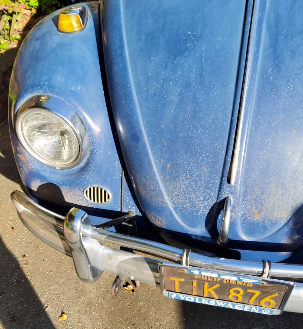 1967 VW Bug - Bringing the DEAD back to LIFE - Original Paint!
