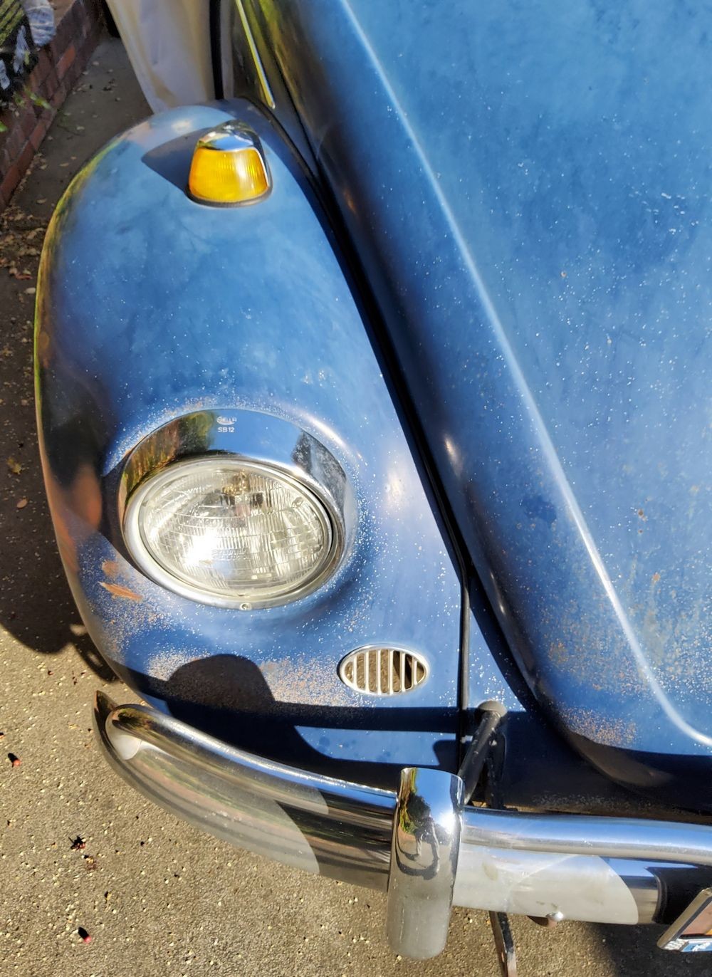1967 VW Bug - Bringing the DEAD back to LIFE - Original Paint!