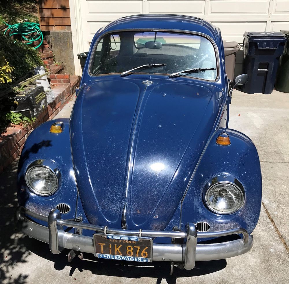 1967 VW Bug - Bringing the DEAD back to LIFE - Original Paint!