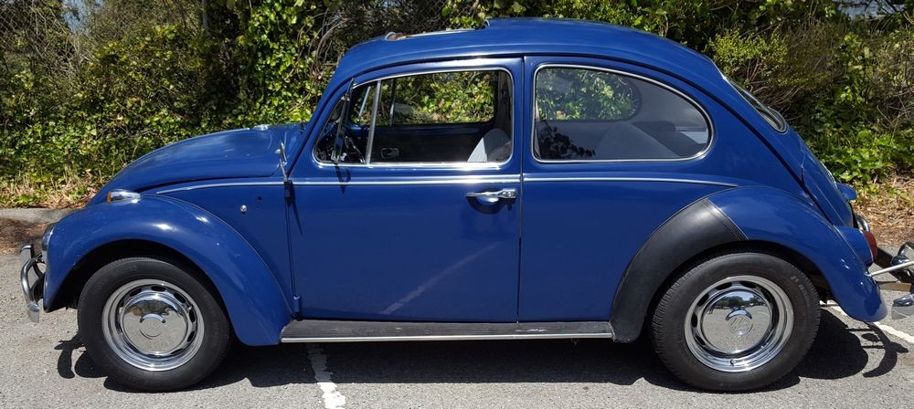 1967 VW Bug - Bringing the DEAD back to LIFE - Original Paint!
