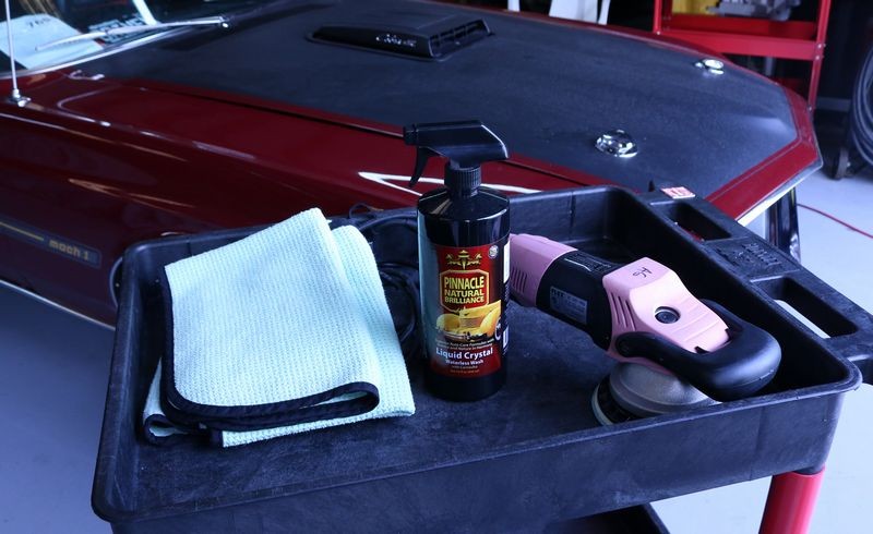 1969 Mustang Mach 1 detailed by Mike Phillips