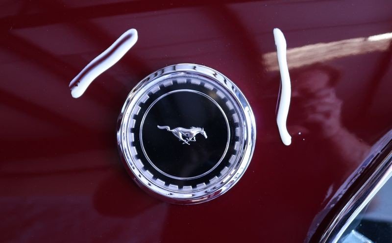 1969 Mustang Mach 1 detailed by Mike Phillips