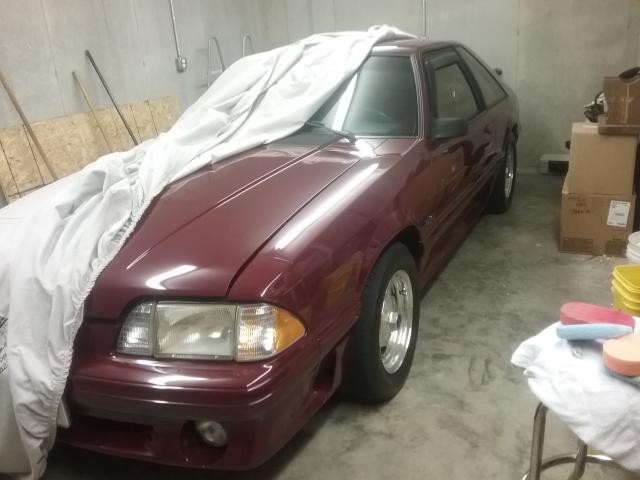 1988_Mustang