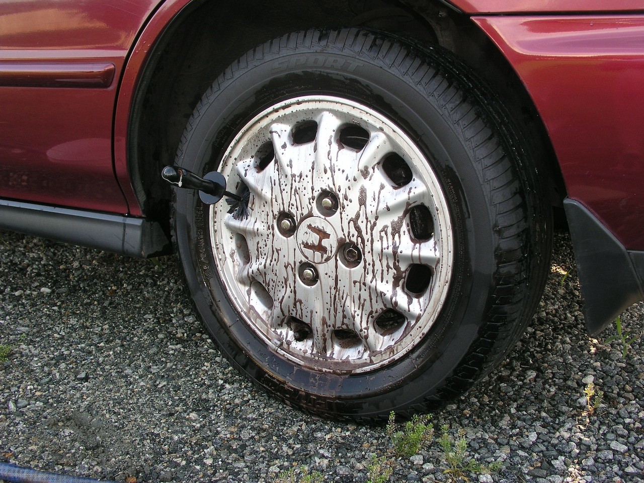 1996 Honda Accord / D151