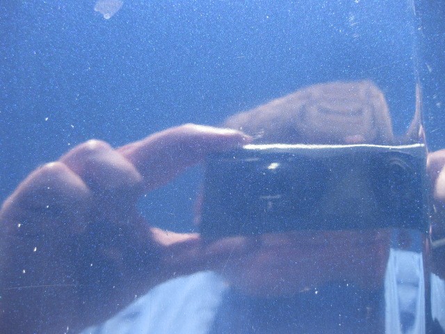 1_BEFORE