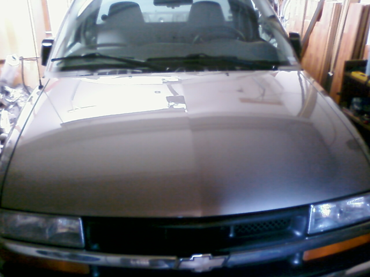 2001 S10 hood