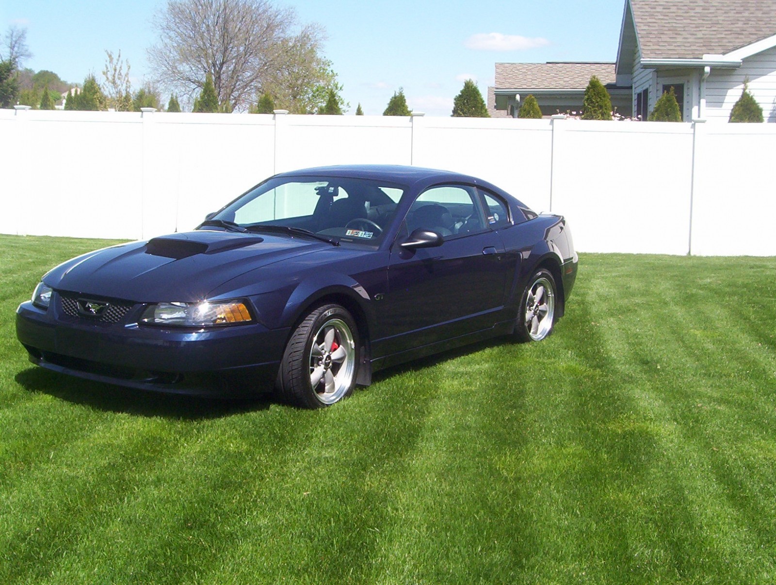 2001 True Blue Mustang Bullitt