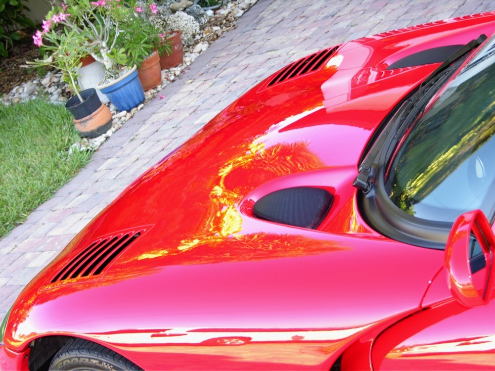 2002 Viper ACR Detail