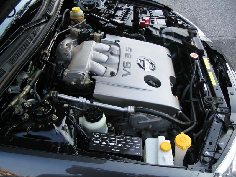 2003 Nissan Maxima -  Kenny Lee