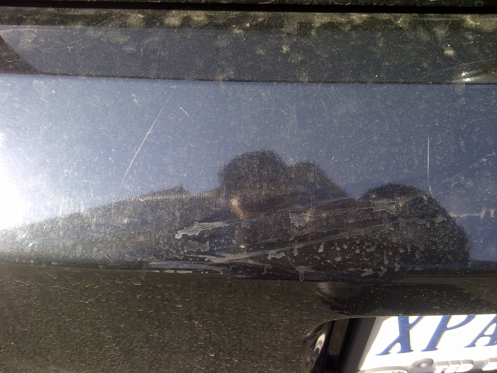 2005 Mustang
