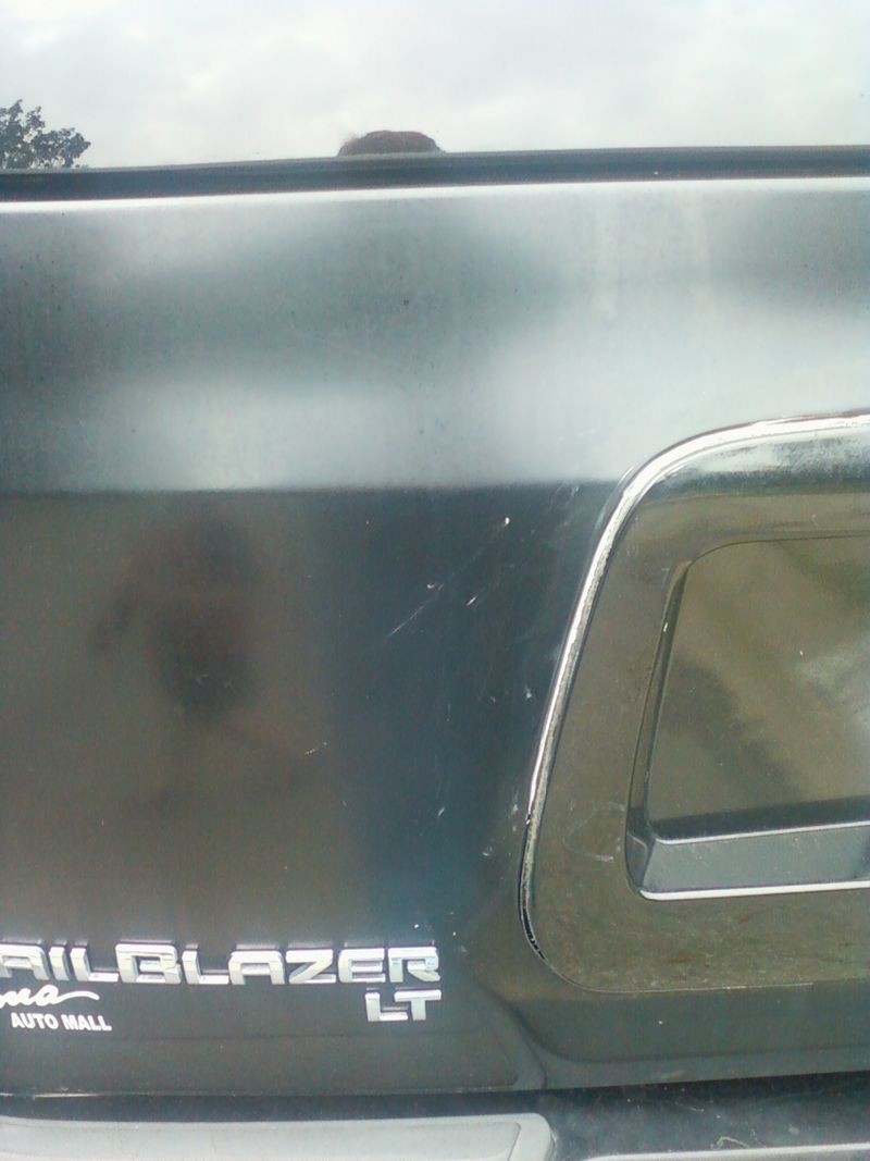 2005 Trail Blazer