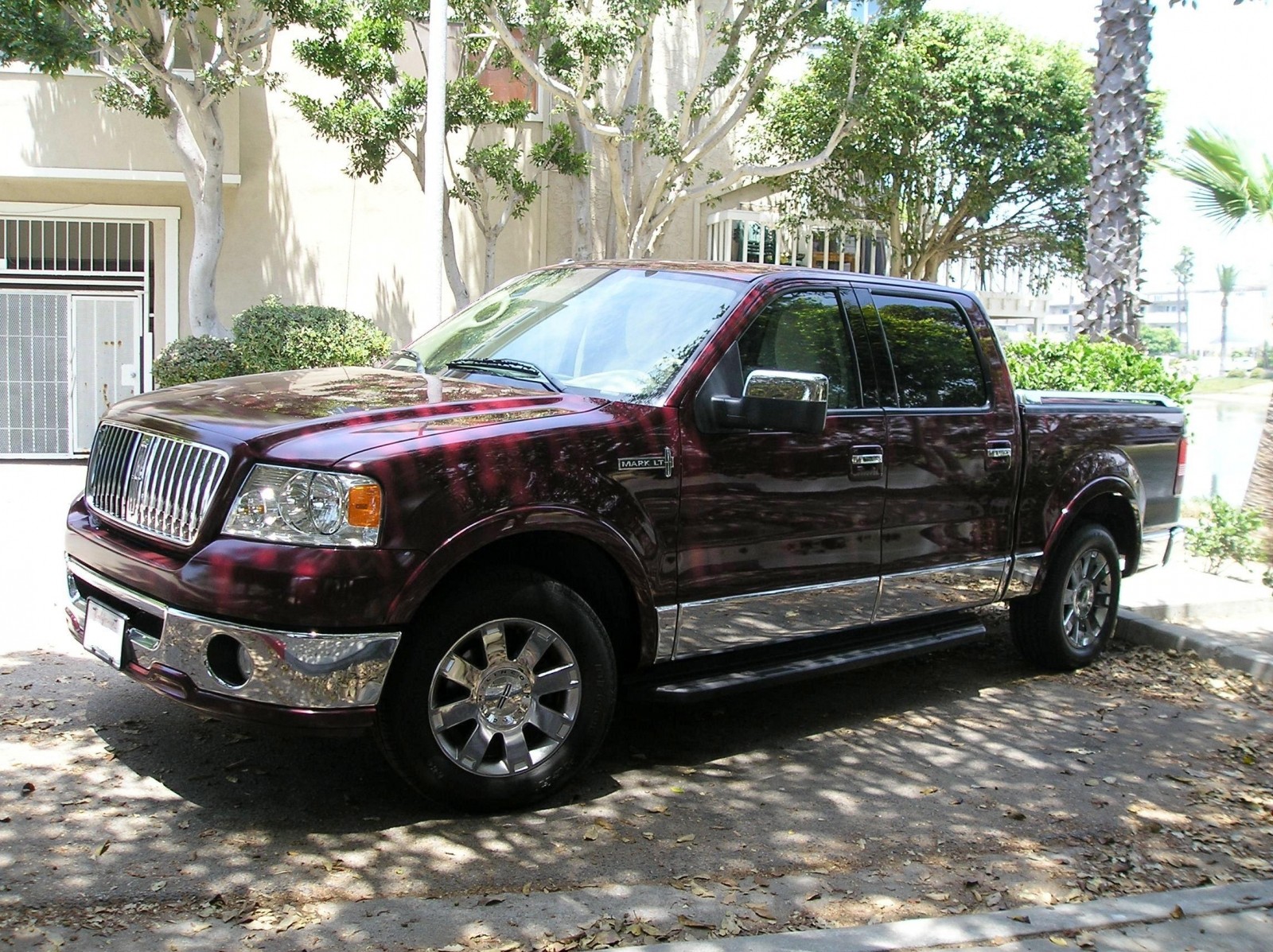 2006 Mark LT- Side