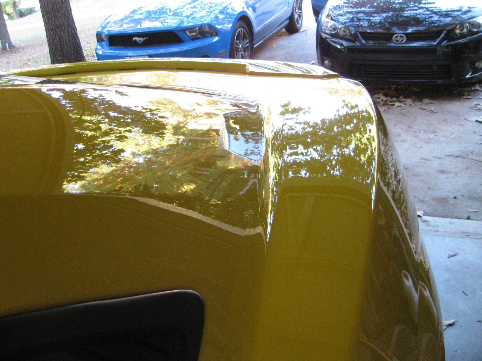 2010 Camaro Rear,freshly waxed