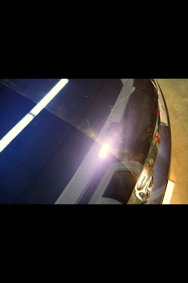 2010 Honda Civic Paint Correction