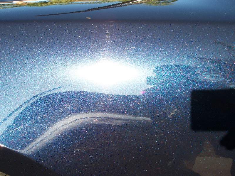 2011 Dodge Charger Detail