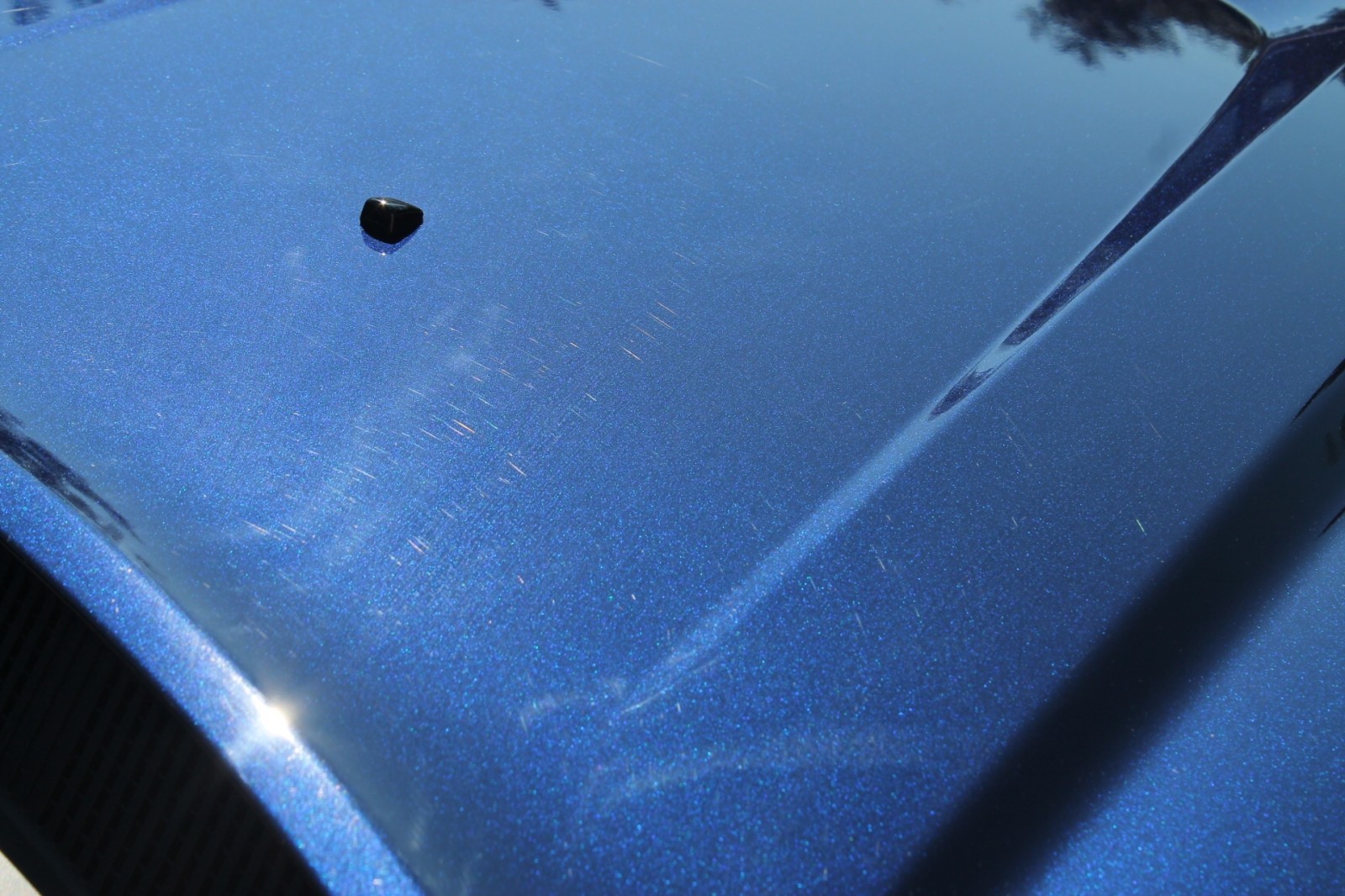 2013 Dodge Charger Paint Correction Project Car