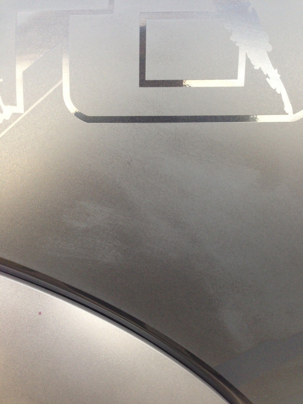 2013 Raptor Vinyl decal