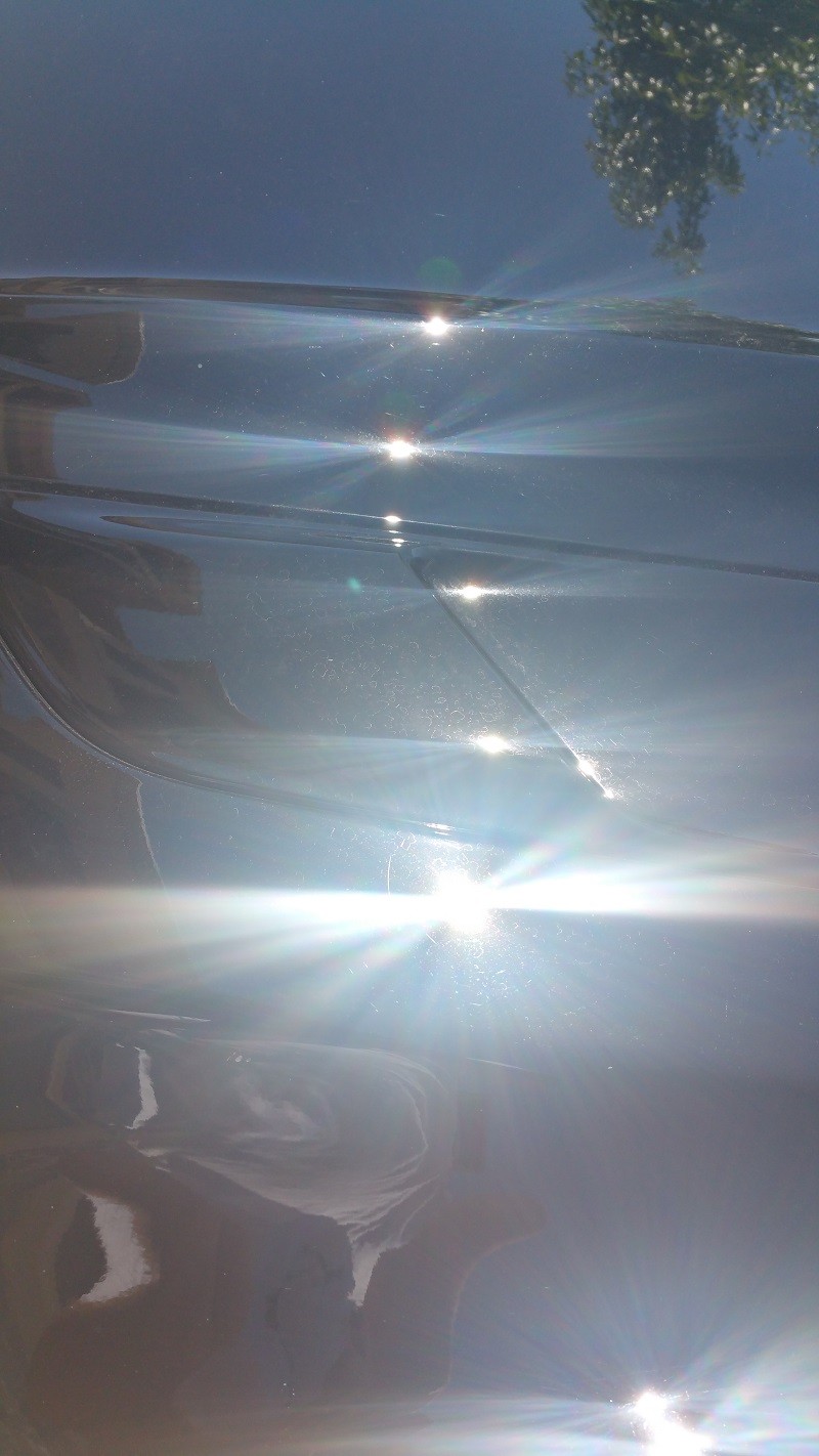 2015 Mustang GT 5.0