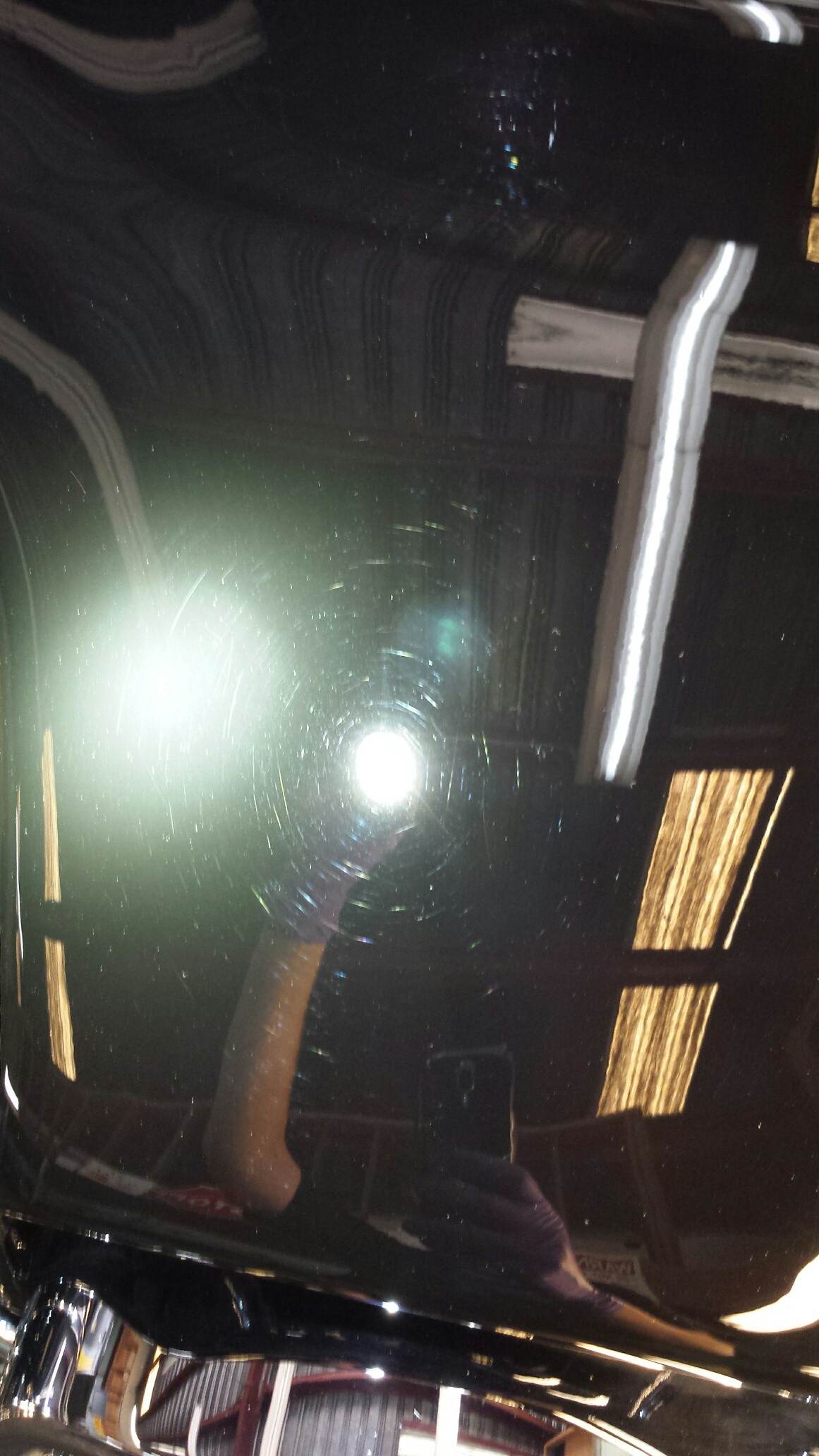 20150818_123946_resized_1