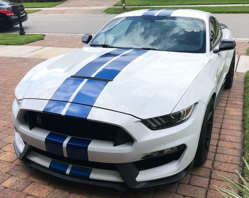 2017 Mustang GT350 detailed by Mike Phillips
