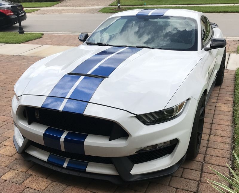 2017 Mustang GT350 detailed by Mike Phillips