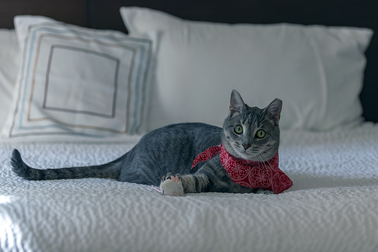 2018_Bandit_Marriott_WPB_-_3
