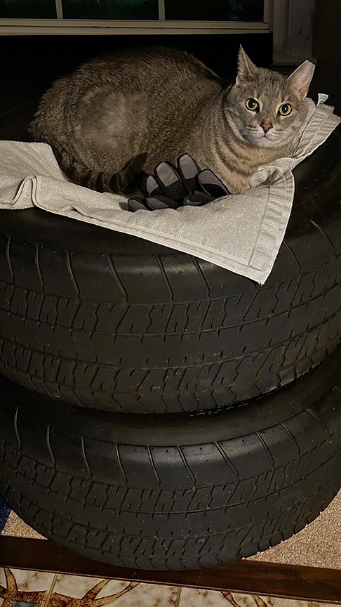 2023-02-08_Drag_Radial_Bandit