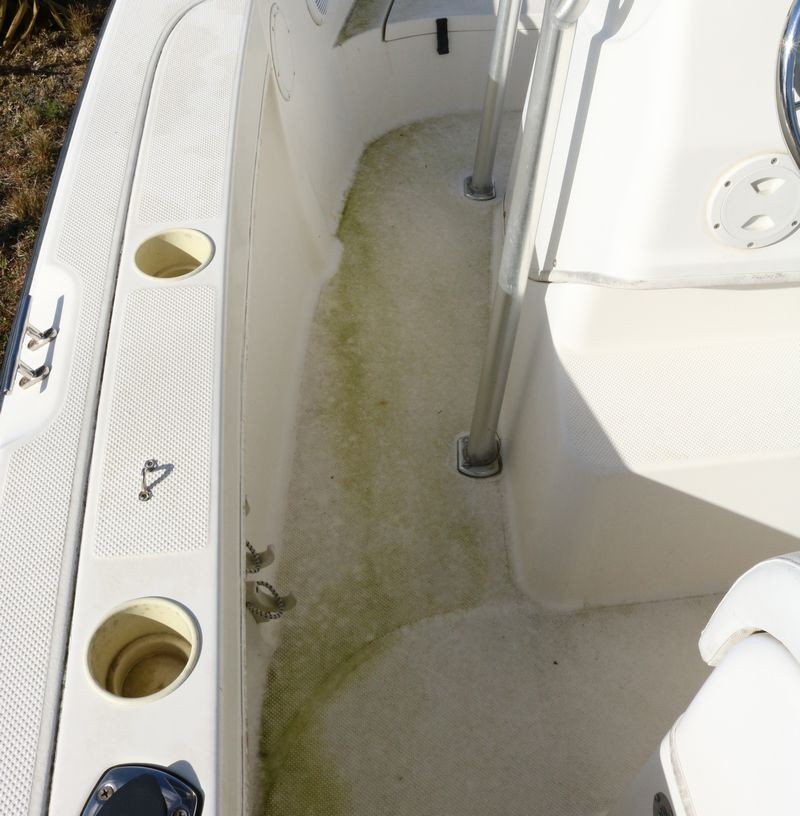 21 Foot Trophy Center Consol Boat Detailing Class Mike Phillips
