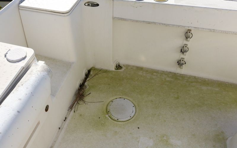 21 Foot Trophy Center Consol Boat Detailing Class Mike Phillips
