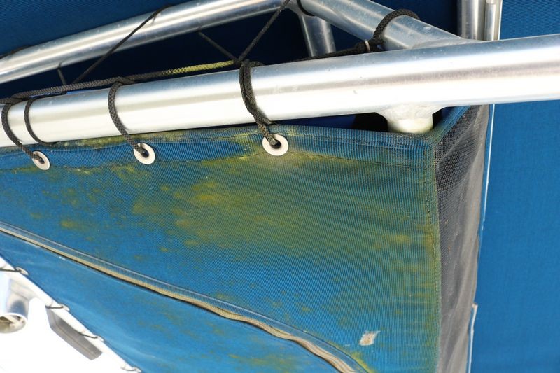 21 Foot Trophy Center Consol Boat Detailing Class Mike Phillips