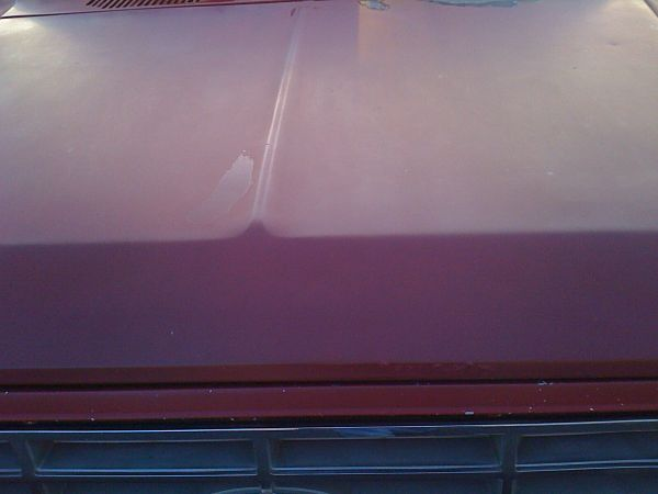 21_resie_after_wash