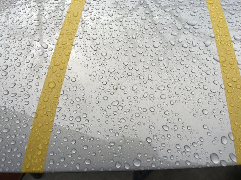303 Speed Detailer
