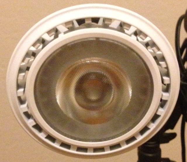 3_-_Bulb_Front