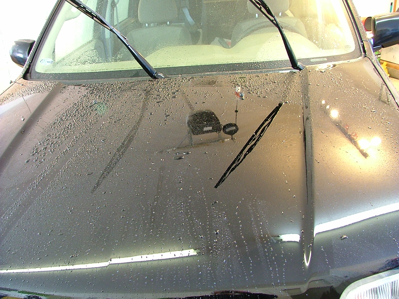 3M Long Term Test - Feb 16. 2008 - After washing.