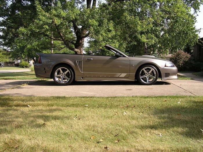 4599saleen1