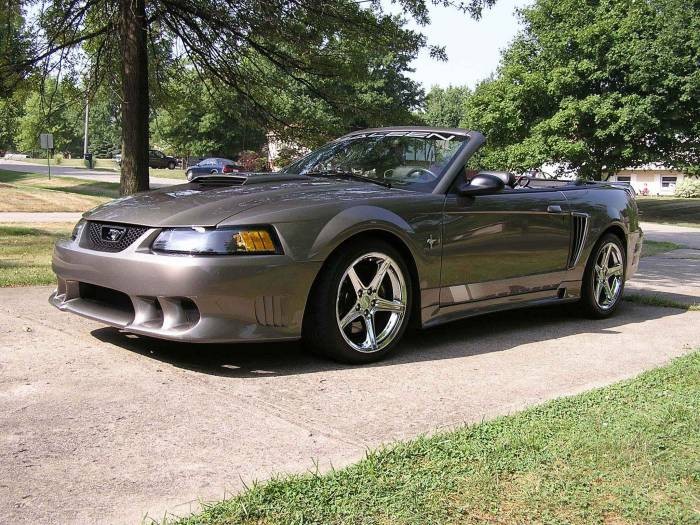 4599saleen4