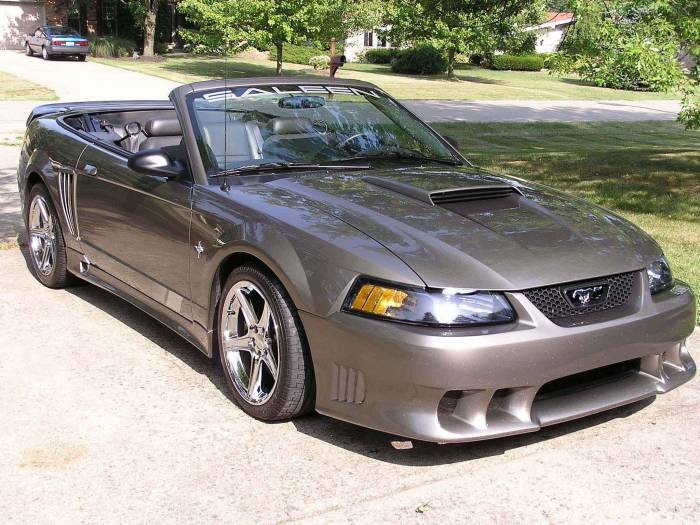 4599saleen6