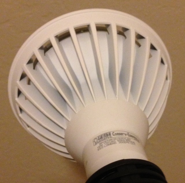 4_-_Bulb_Back
