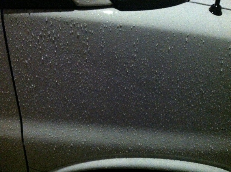 4_month_Aqua_Wax